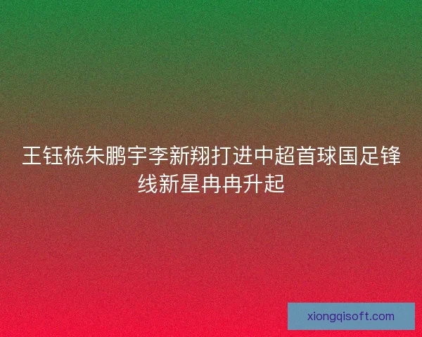 王钰栋朱鹏宇李新翔打进中超首球国足锋线新星冉冉升起