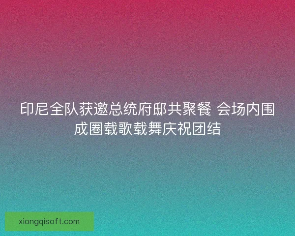 印尼全队获邀总统府邸共聚餐 会场内围成圈载歌载舞庆祝团结 印尼全队获邀总统府邸共聚餐 会场内围成圈载歌载舞庆祝团结